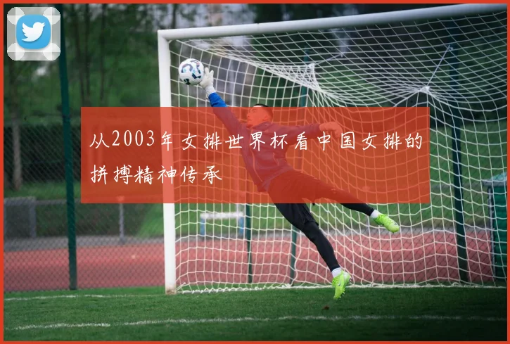 从2003年女排世界杯看中国女排的拼搏精神传承